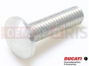 DUCATI 2021 Multistrada V4 7791C511AA - Vis (Spec.)