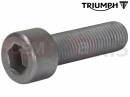 Triumph 2017 THRUXTON T3203206 - Vis