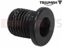 Triumph 2021 SCRAMBLER 1200 XC T3458989 - Ölablaßschraube (M14x1,5)