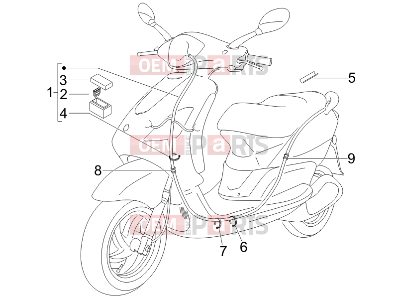 Electrical system » Main cable harness - Piaggio Fly 50 4T 2012