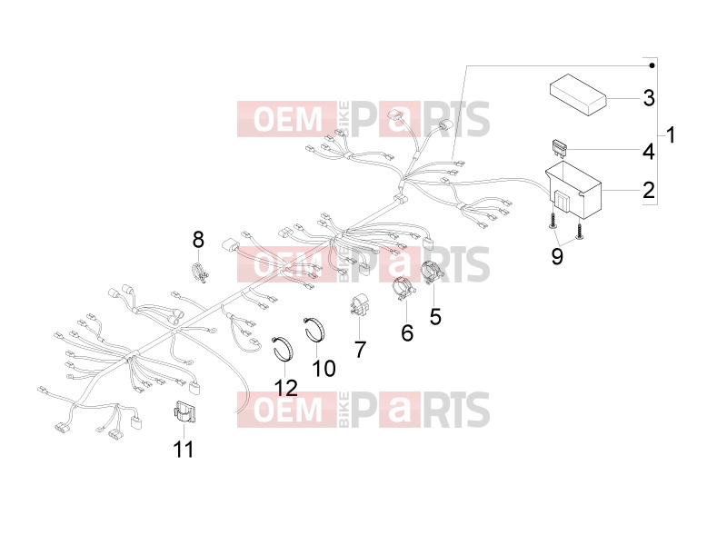 gilera 2013 Runner 50 SP Electrical system » Main cable harness