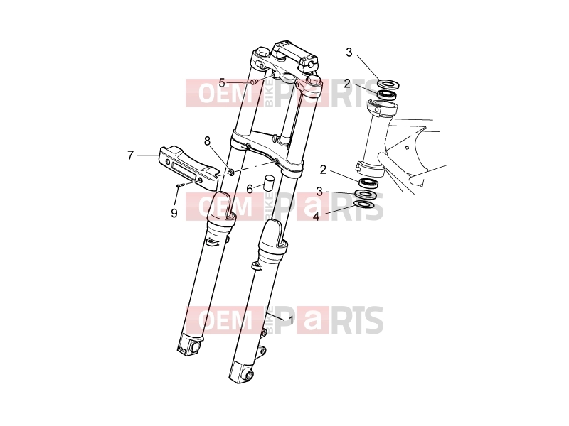 FRAME » Front fork I - Motoguzzi Nevada 750 S 2011