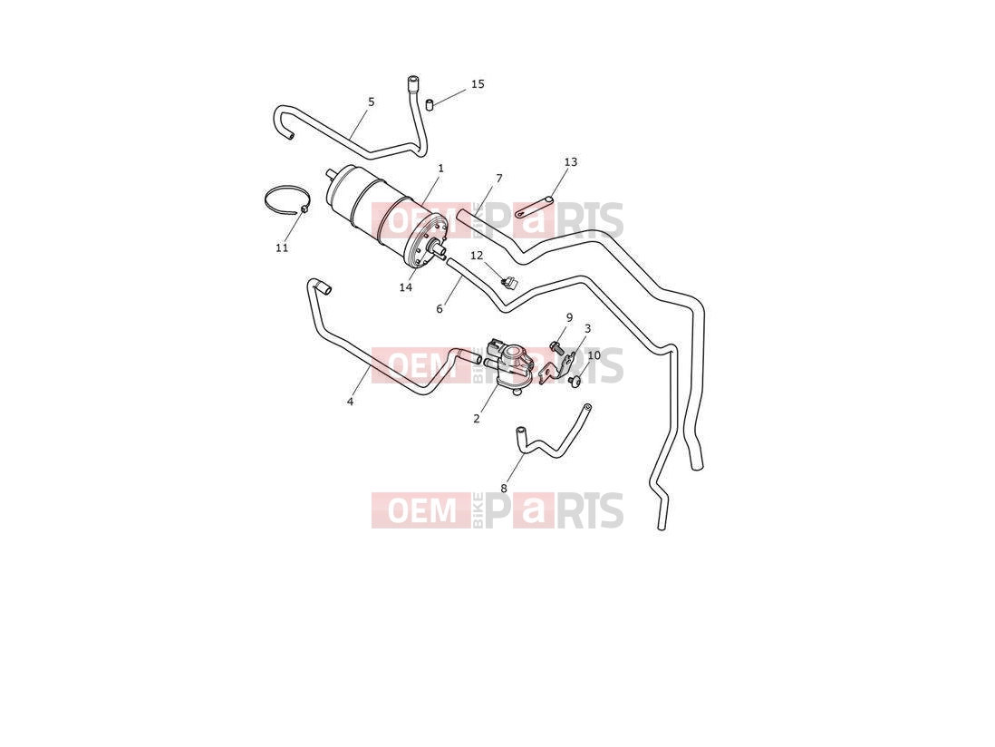 Triumph 2021 TRIDENT 660 Evaporative system