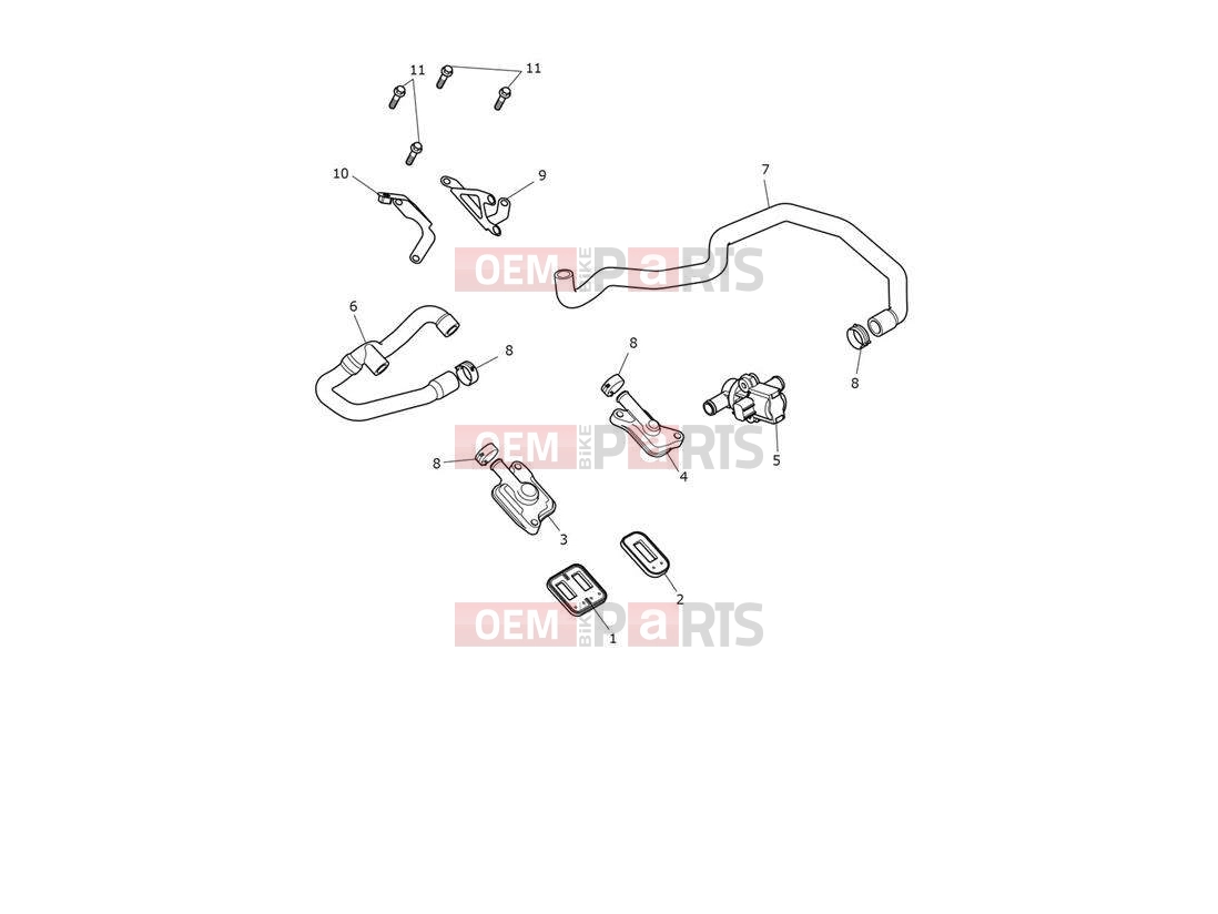 Triumph 2021 TRIDENT 660 Emissions Control System