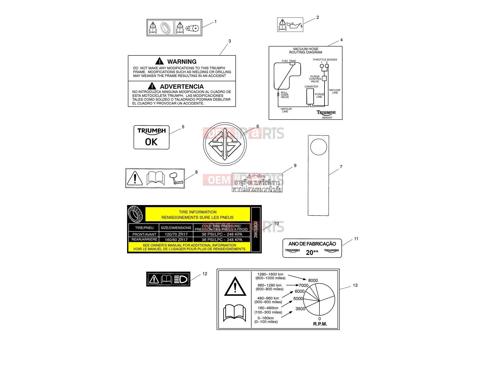 Triumph 2019 THRUXTON Warning Labels