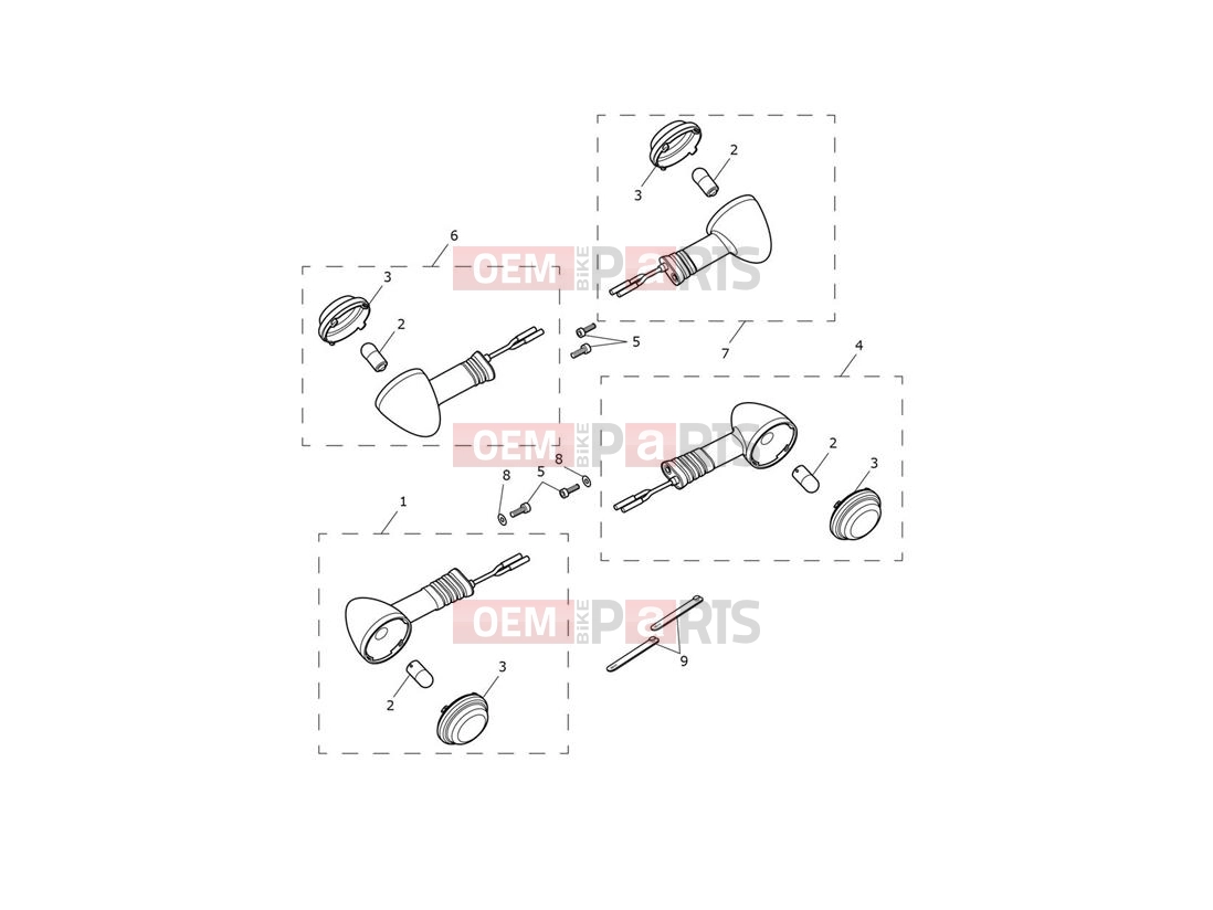 Triumph 2020 Thruxton RS Indicators
