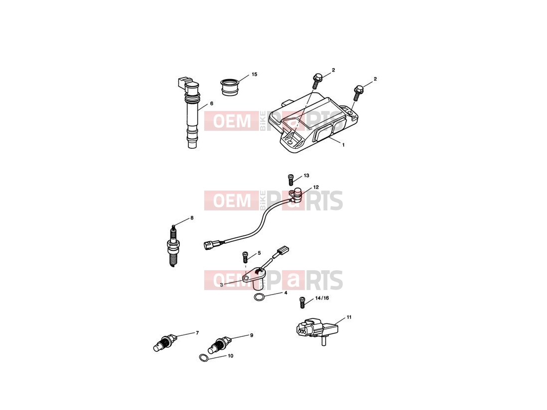 Triumph 2008 SPRINT ST 208167 > Engine Management System