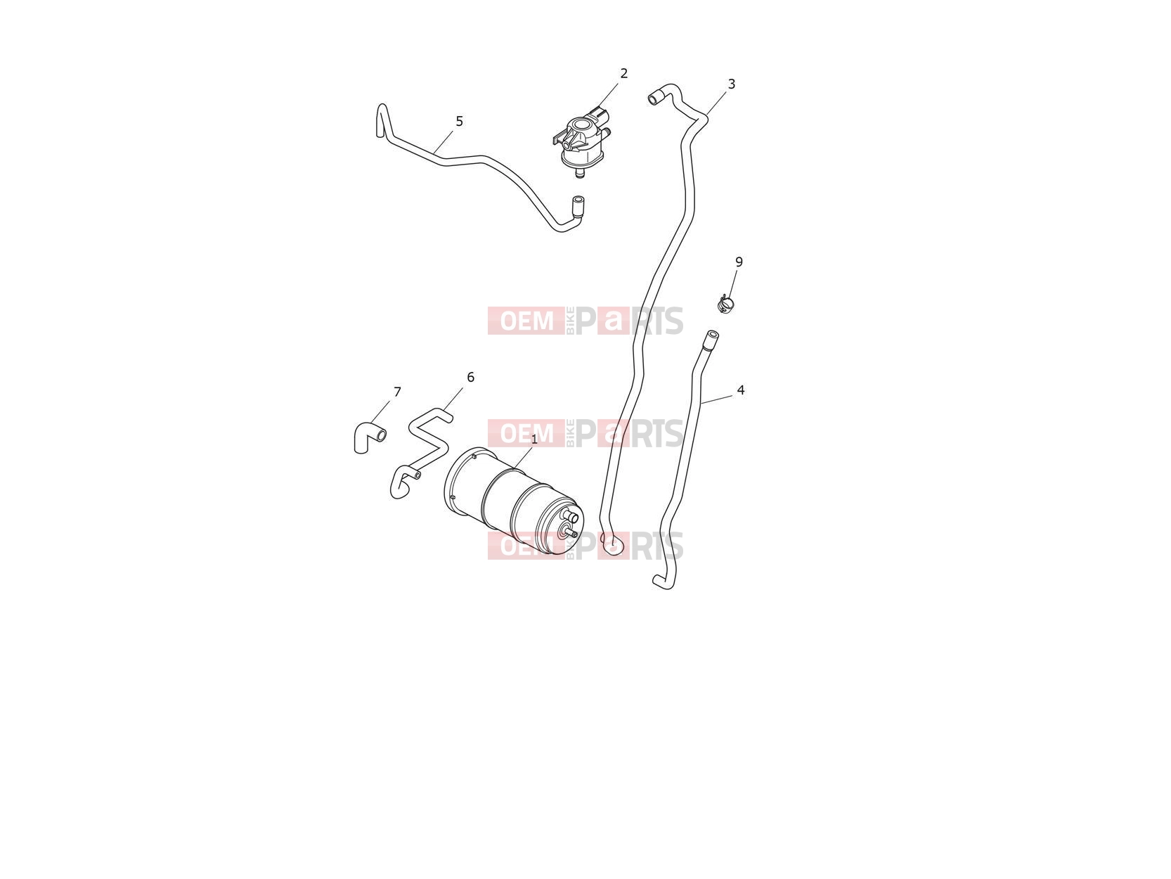 Triumph 2021 SCRAMBLER 1200 XC Evap System - All Mkts Except AU, ID, NZ & ZA > 937358