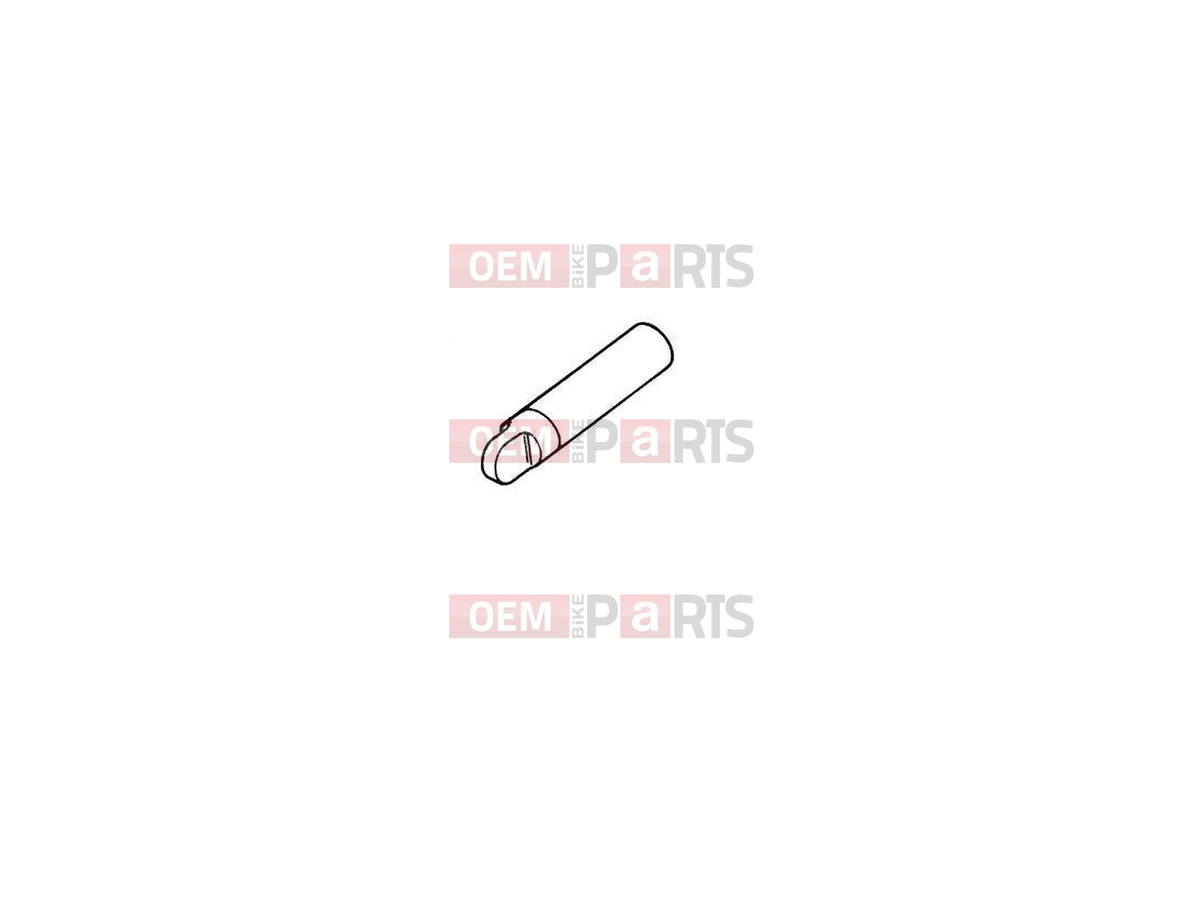 Triumph 2014 SPEEDMASTER EFI Touch-up Paint