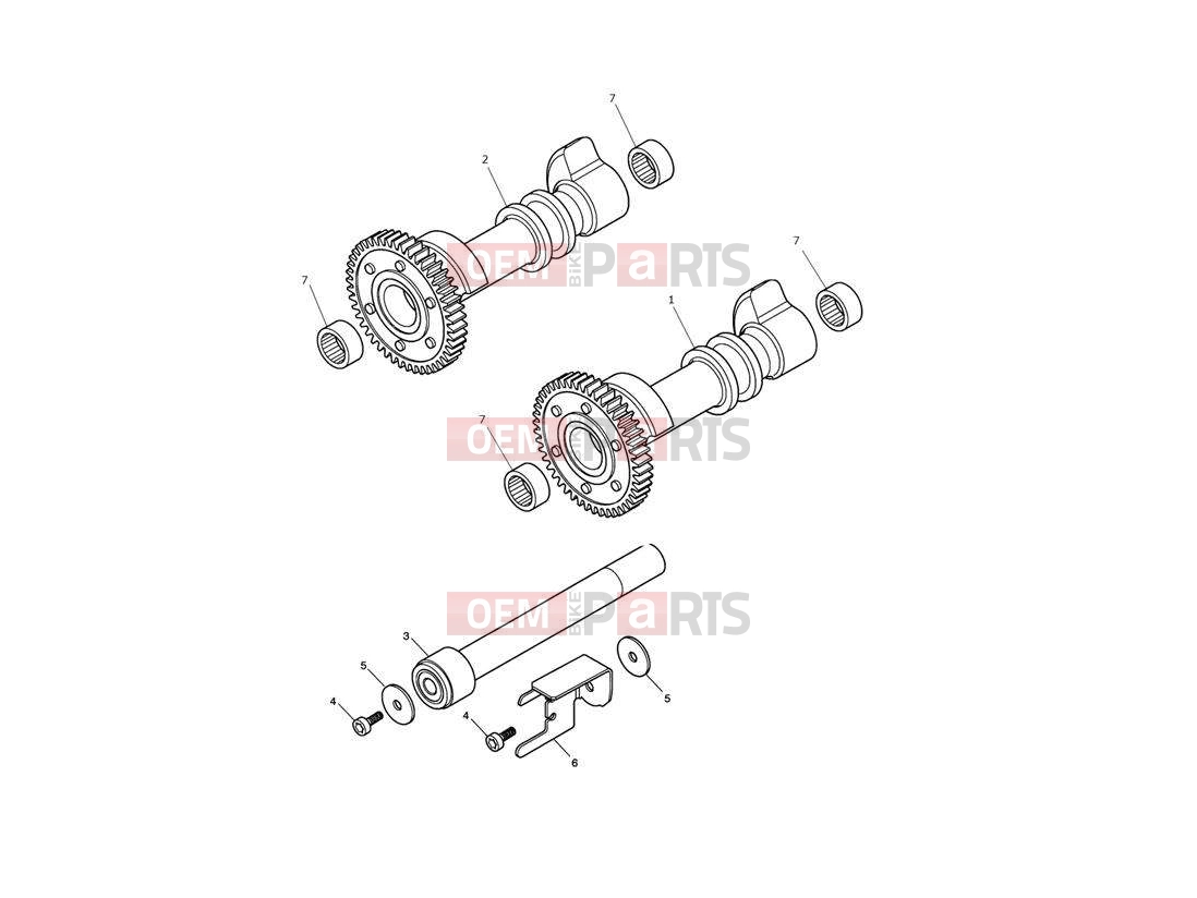 Triumph 2010 SPEEDMASTER EFI Balancer
