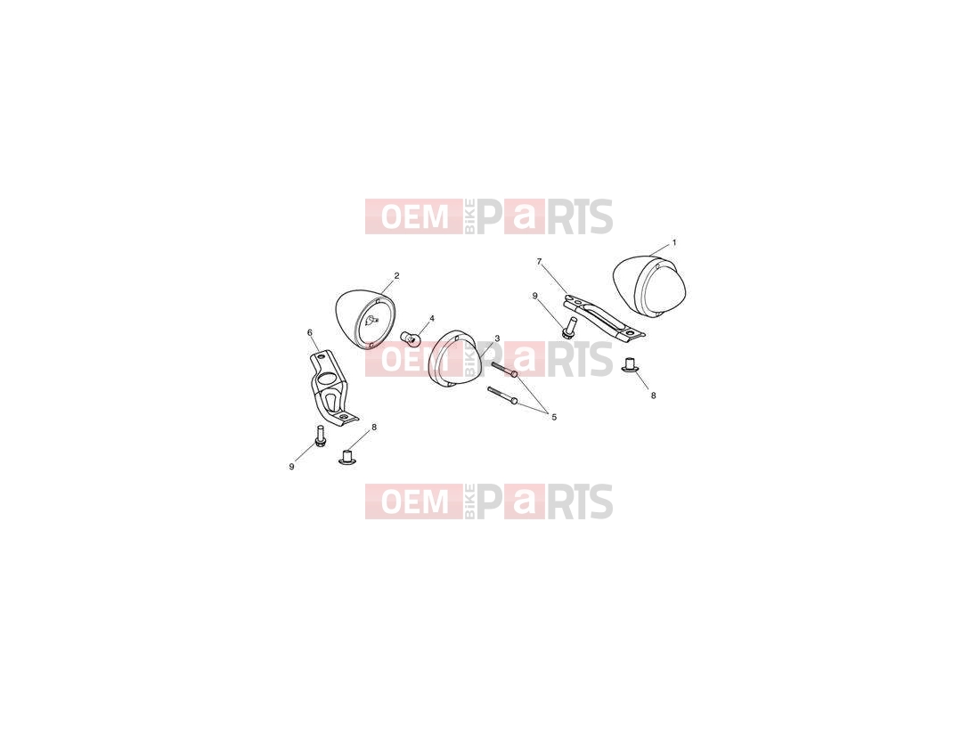 Triumph 2011 SPEEDMASTER EFI Indicators 469051