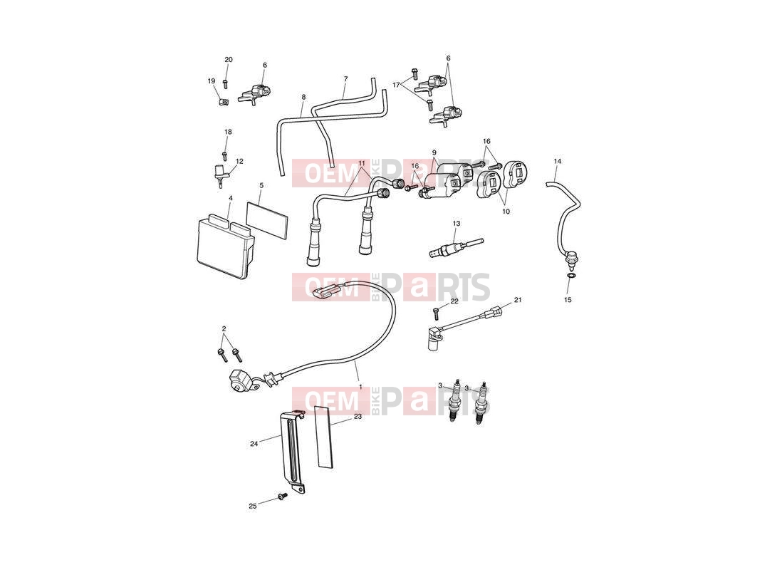 Triumph 2013 SPEEDMASTER EFI Engine Management System