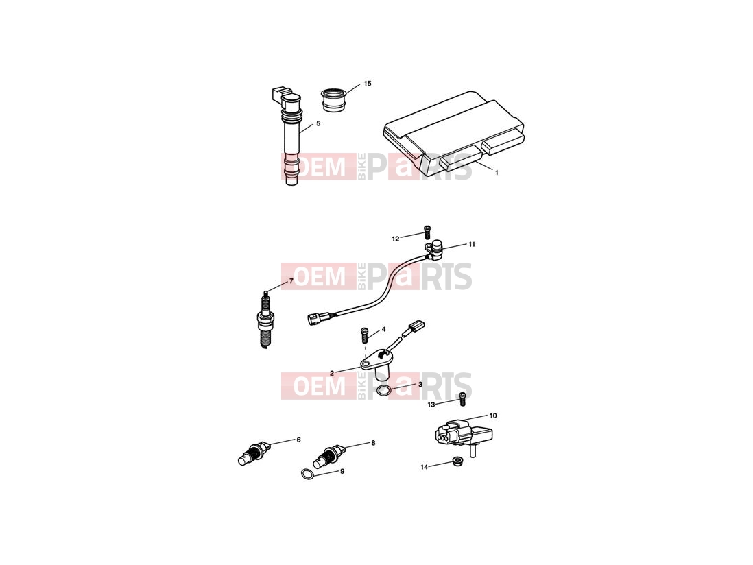 Triumph 2011 Tiger 1050 Engine Management System