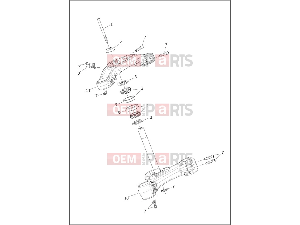 Harley-Davidson 2019 SOFTAIL SOFTAIL FAT BOB  - FXFB FORK BRACKETS, FRONT - FXBR, FXBRS
