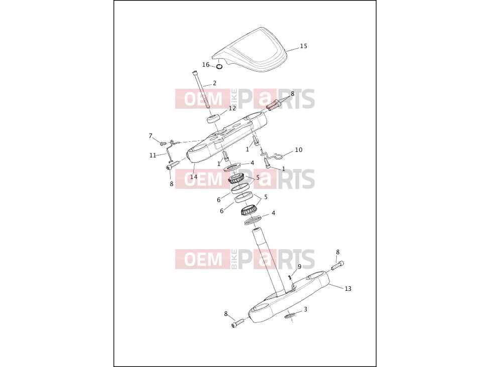 Harley-Davidson 2019 SOFTAIL SOFTAIL BREAKOUT  - FXBR FORK BRACKETS, FRONT - FXLR