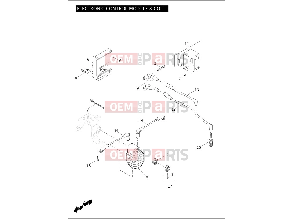 Harley-Davidson 2011 SOFTAIL SOFTAIL DELUXE  - FLSTN ELECTRONIC CONTROL MODULE (ECM) & COIL