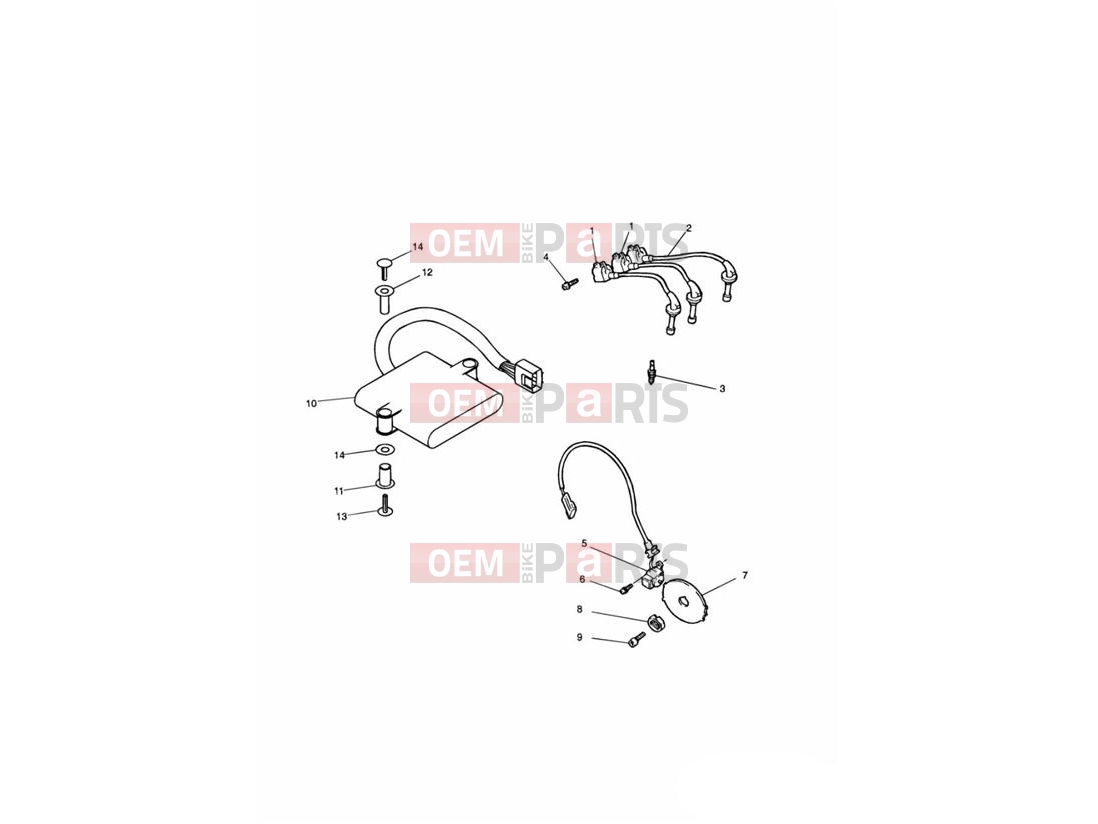 Triumph 2002 THUNDERBIRD Ignition System 71699 »  » 111989