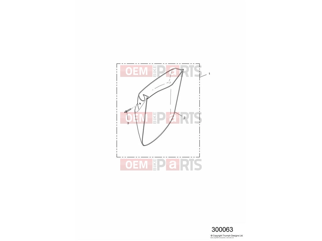 Triumph 2002 THUNDERBIRD Front Mudguard Extension