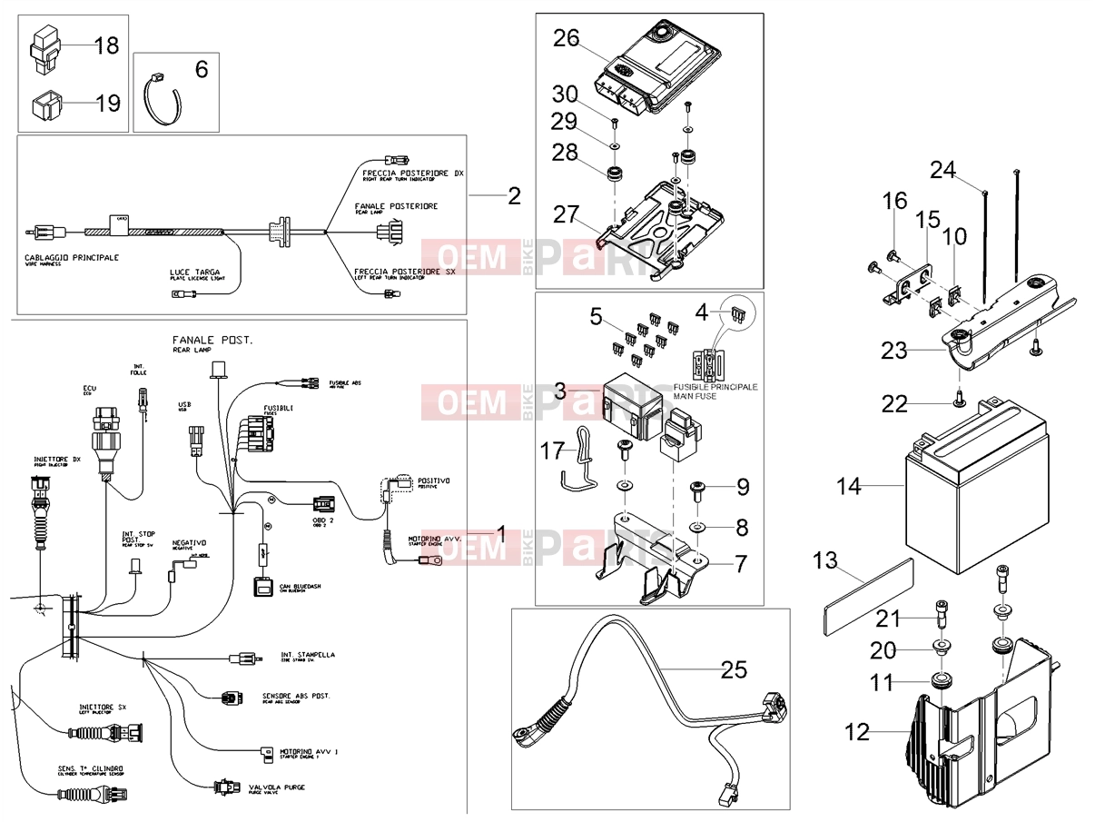 Electrical systems » Rear electrical system - Motoguzzi V7 Stone E5+ (EU) 2025