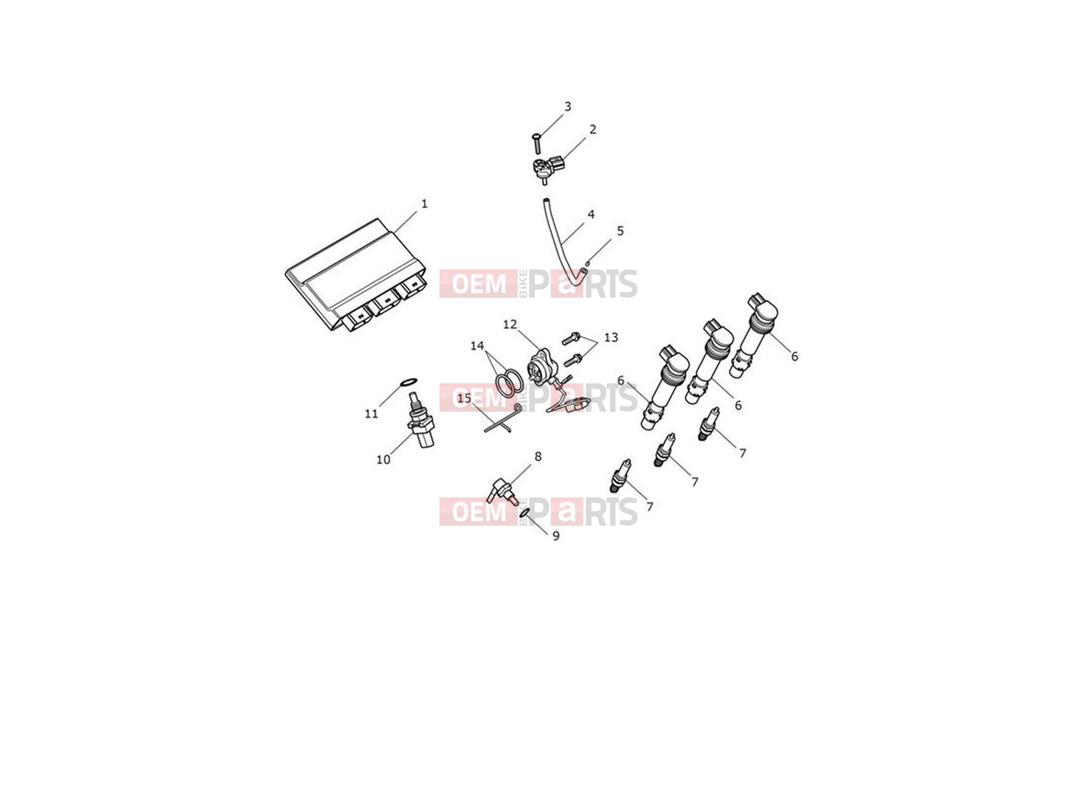 Triumph 2022 Trident 660 Engine Management