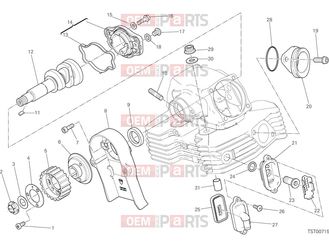 DUCATI 2025 Scrambler Nightshift Vertical head timing system