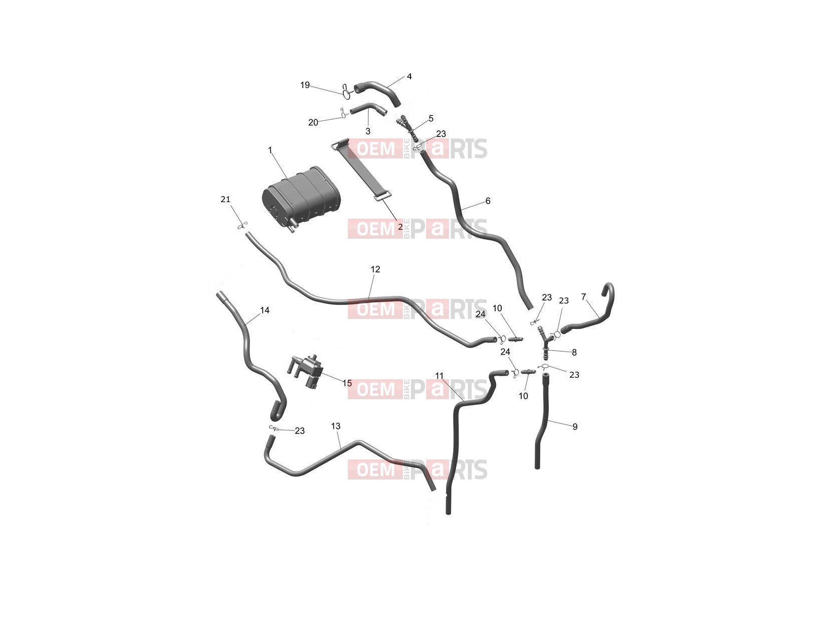 Triumph 2025 Speed 400 Evap System