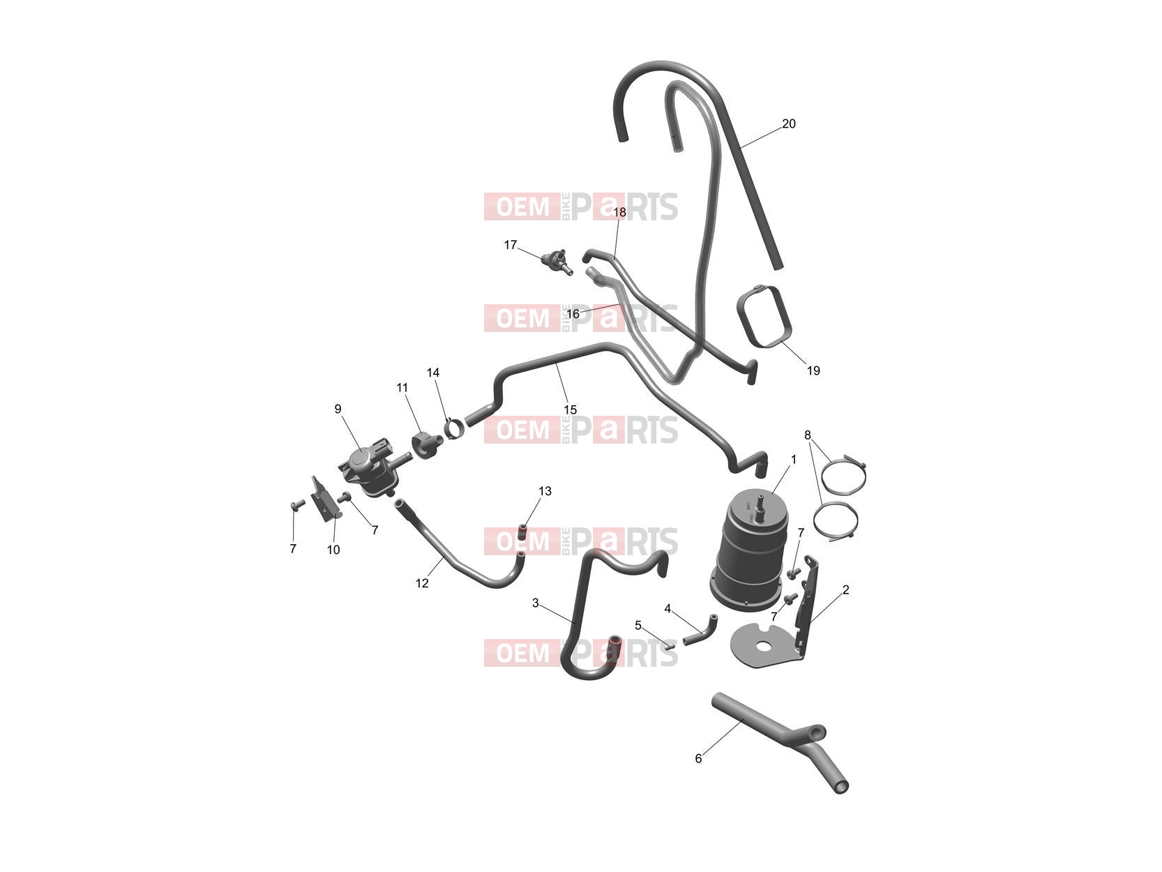 Evaporative System - Triumph TF450-E 2026