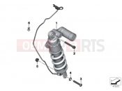 Spring strut, rear - BMW Motorrad HP4 (0D01, 0D11) 2012