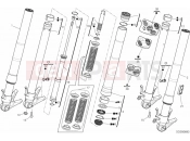 DUCATI Superbike 1199 Panigale ABS 21A - FRONT FORK (2) » FRONT SUSPENSION