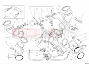 DUCATI Monster 1100 EVO ANNIVERSARY THROTTLE BODY » INTAKE, CARBURETTOR