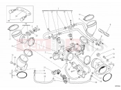 DUCATI 2013 Monster 796 ABS THROTTLE BODY » INTAKE, CARBURETTOR