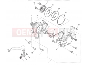 HUSQVARNA 2012 SMR-TE 125 WATER PUMP
