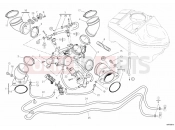 DUCATI Hypermotard 1100 EVO SP INTAKE MANIFOLD » INTAKE, CARBURETTOR