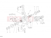DUCATI 2010 Superbike 1198 S Corse CRANKSHAFT » ENGINE CASE