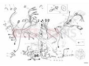 DUCATI Superbike 1098 R Bayliss WIRING HARNESS » WIRING HARNESS