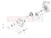 PIAGGIO BV 350 4T 4V ie E4 ABS ( USA / CA ) Reduction unit