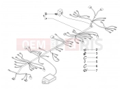 PIAGGIO Carnaby 125 Main cable harness