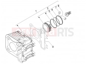 PIAGGIO Fly 100 Cylinder-piston-wrist pin unit