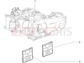 Engine, assembly - Piaggio X8 250 ie 2005