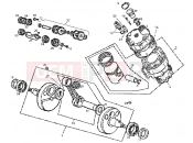 Crankshaft-cylinder - Gilera GPR 50