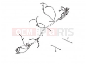 gilera 2010 Oregon 250 Main cable harness
