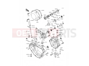 Engine Cover(s) - Kawasaki KDX200 (KDX200-E6) 1994