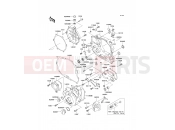Engine Cover(s) - Kawasaki D-TRACKER (KLX250-J2) 1999