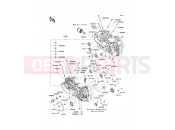 KAWASAKI VN1700 CLASSIC TOURER ABS (VN1700DBF) Crankcase
