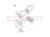KAWASAKI NINJA 250R (EX250KCF) Engine Cover(s)