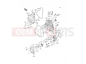 KAWASAKI VERSYS ABS (KLE650DCFW) Engine Cover(s)