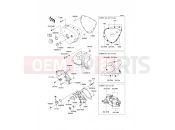 KAWASAKI W800 (EJ800ADFA) Left Engine Cover(s)