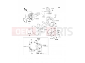 KAWASAKI W800 (EJ800ADFA) Right Engine Cover(s)
