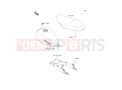 KAWASAKI W800 (EJ800ADFA) Labels