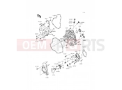 KAWASAKI 2015 Engine Cover(s)